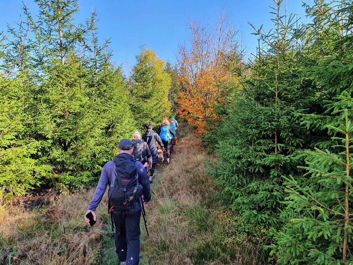 mehrer Menschen laufen in einer Reihe durch den wald
