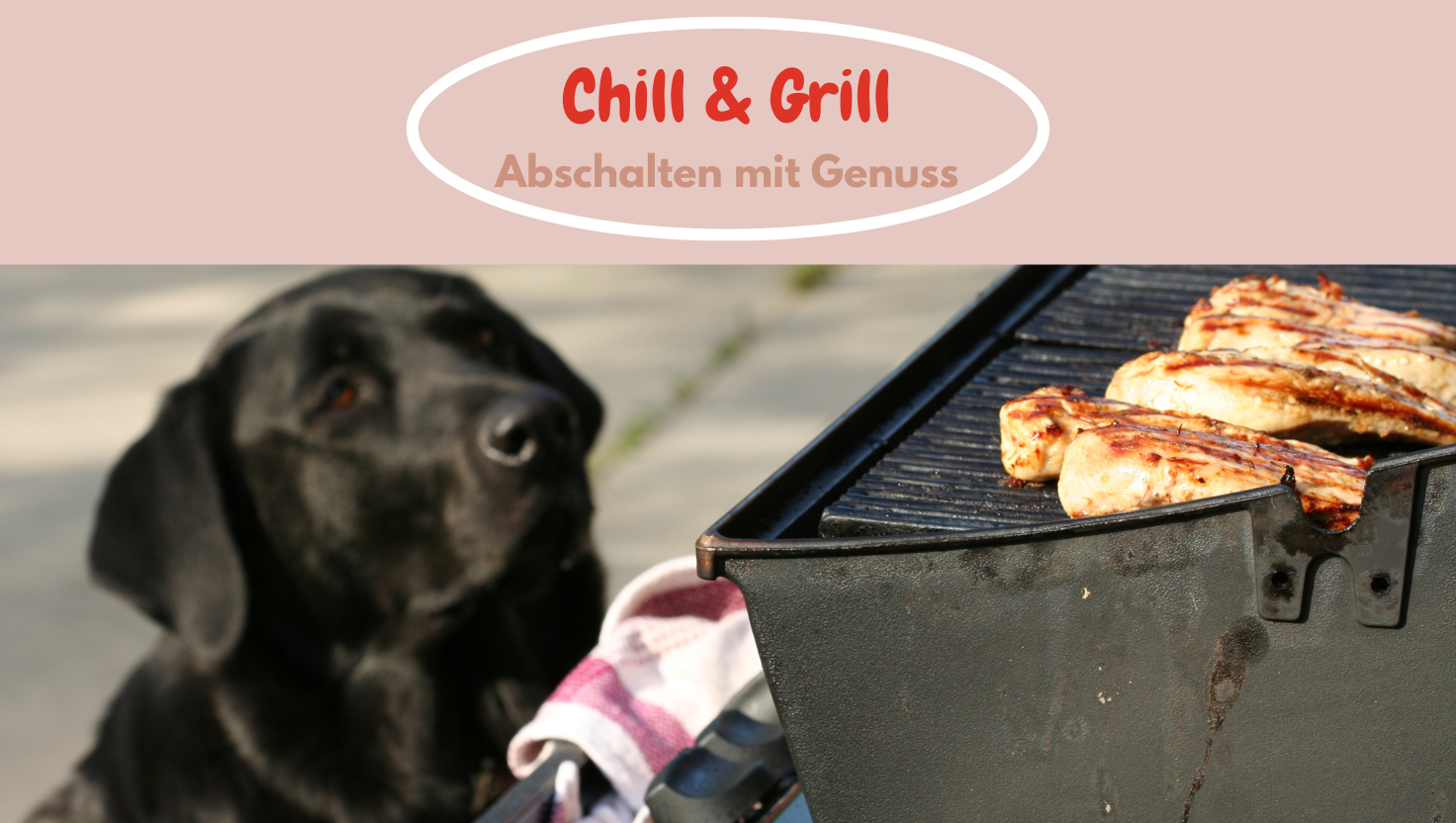 im vordergrund steht ein mit fleisch gefüllter grill und ein hund schaut erwartungsvoll zum grill