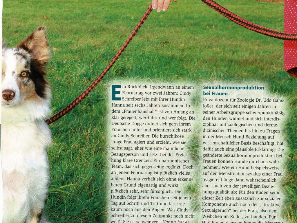 Rüde-Hündin_02